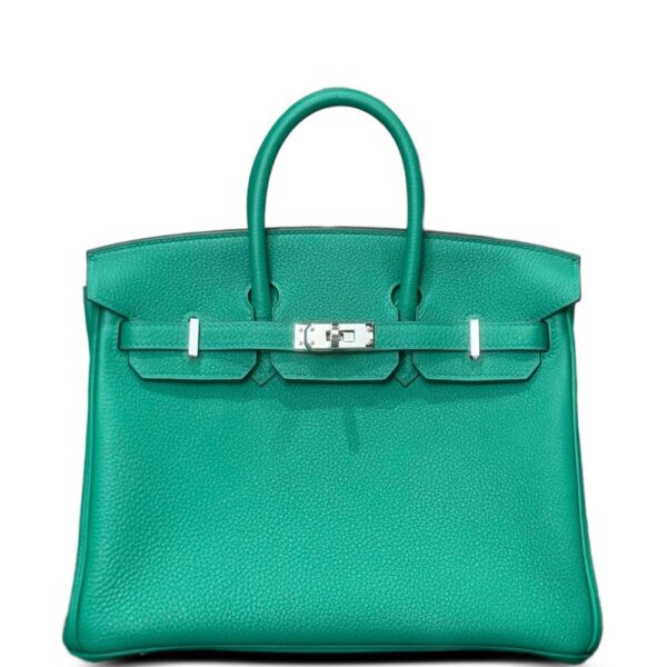 Hermès Pre-Owned 2024 Birkin 25 Togo palladium-hardware tote bag