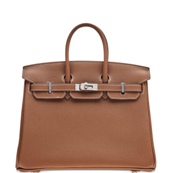 Hermès Pre-Owned 2024 Birkin 25 Togo palladium-hardware tote bag