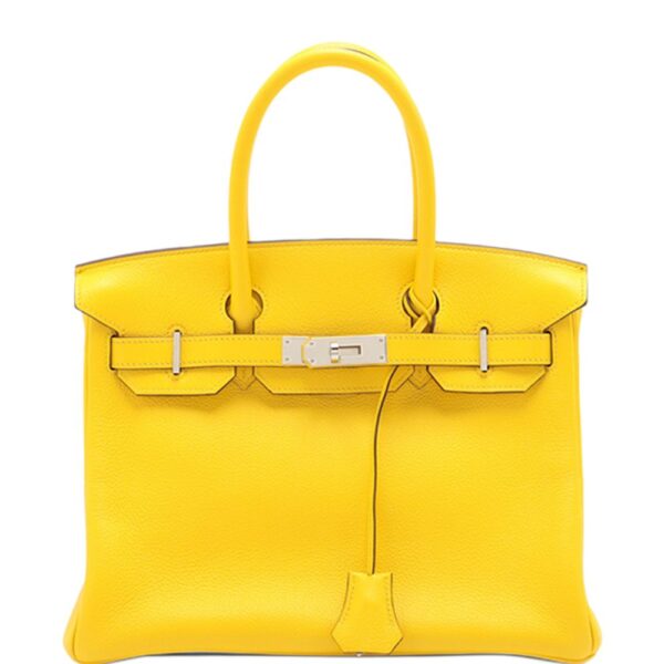 Hermès Pre-Owned 2019 Clemence Birkin Retourne 30 handbag